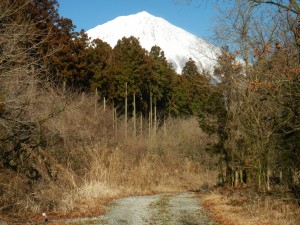 blog 020